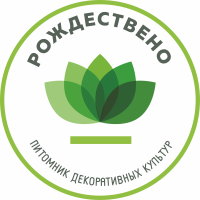 Питомник декоративных растений "Рождествено"